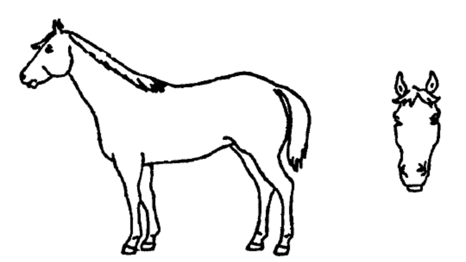 960x540 County Fair H Horse Id's Due June H