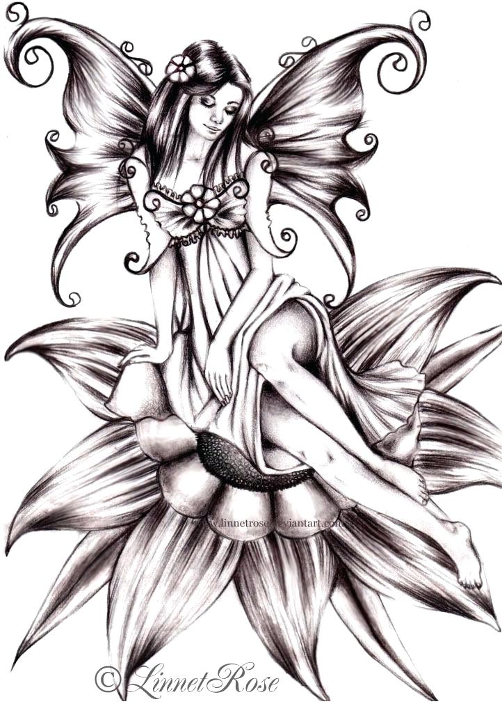 722x1024 fairy drawing drawn fairy drawing fairy drawing images