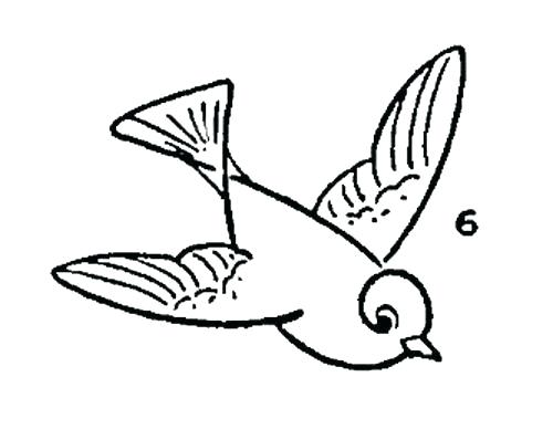 500x398 Easy Birds To Draw How To Draw A Bird The Blue Jay Example Step