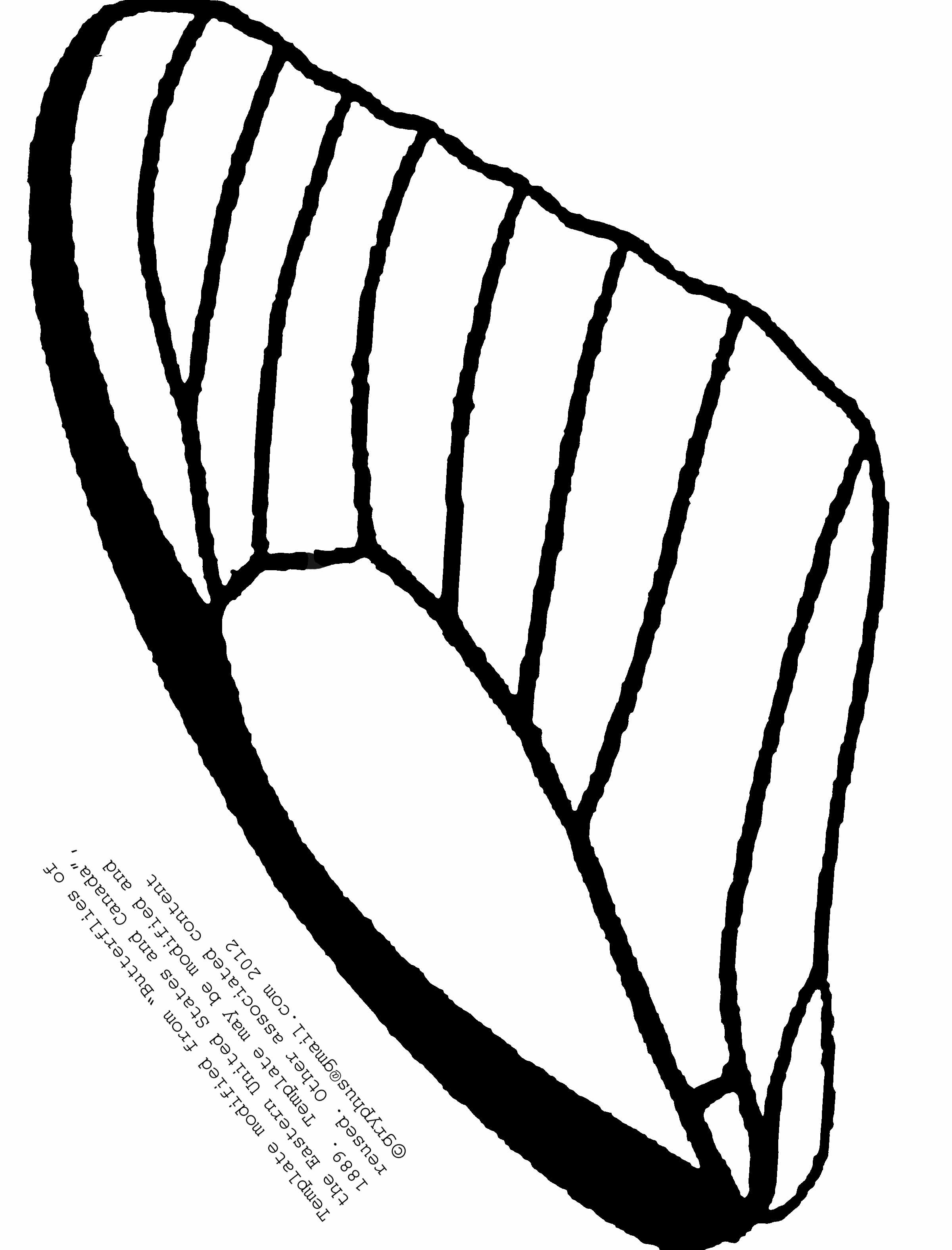 2400x3150 Wings Drawing Tumblr Butterfly Step