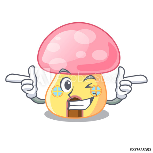 500x500 Wink Fairy House Mushroom On A Cartoon