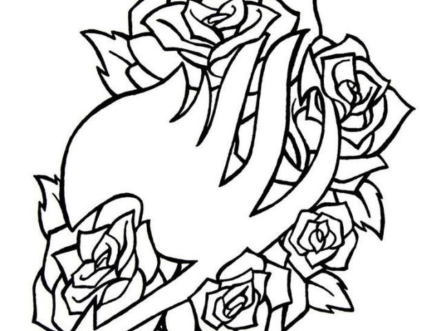 640x480 Drawn Fairy Tale Outline