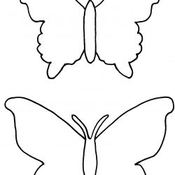 250x250 Butterfly Drawing Outline In Pencil Wings Unicorn Reference Book