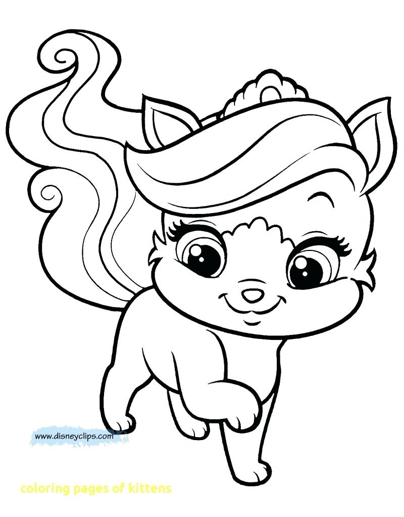 800x1022 Kitty Coloring Pages Baby Hello How To Draw Fairy