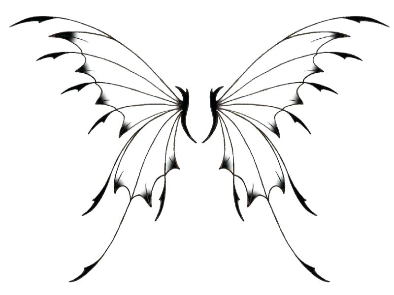 Fairy Wings Drawing