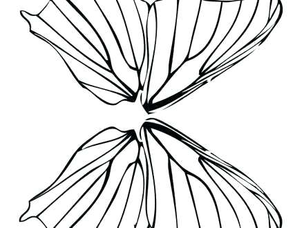 440x330 How Make Fairy Wings Tutorials