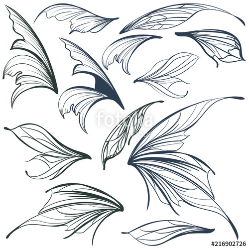 500x500 Set Of Vector Filigree Fairy Wings For Design Stock Image