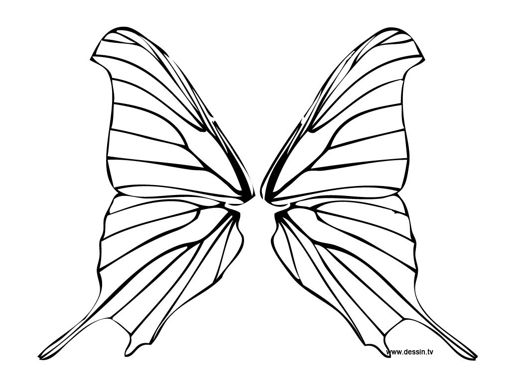 1024x768 Wing Coloring Pages Double Fairy Wings