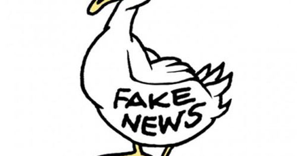 600x315 the no reason we spread fake news