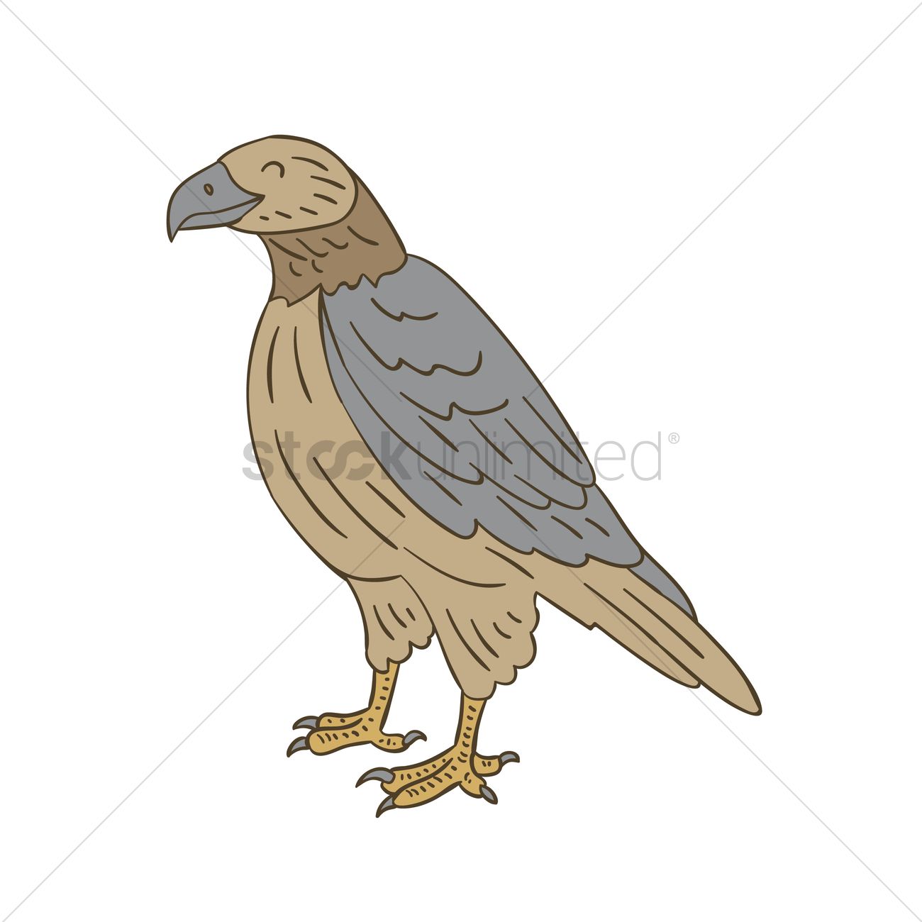 1300x1300 Falcon Vector Image