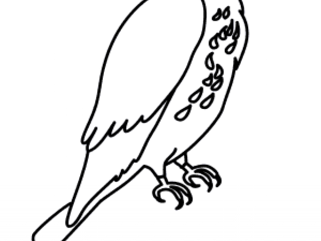 640x480 Free Falcon Clipart, Download Free Clip Art