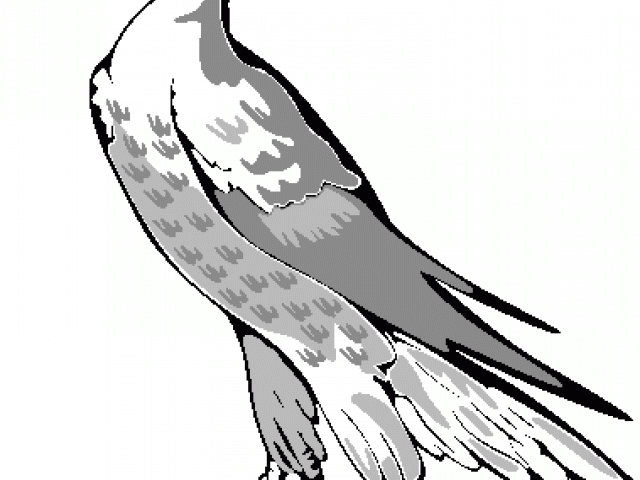 640x480 free peregrine falcon clipart, download free clip art