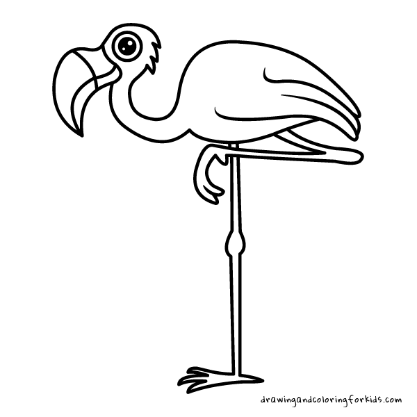 600x600 Drawing Birds For Kids Coloring Pages Birds Drawing Penguin