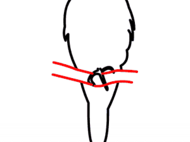 640x480 Falcon Clipart Drawing