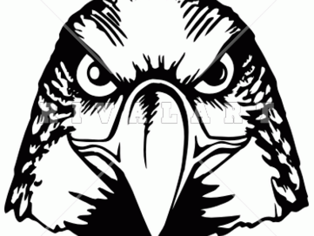 640x480 Free Falcon Clipart, Download Free Clip Art