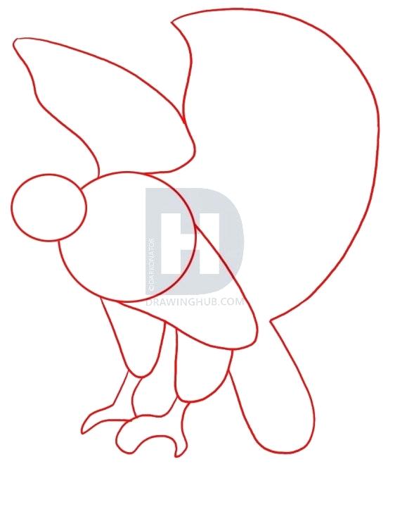 562x720 How To Draw A Falcon Step