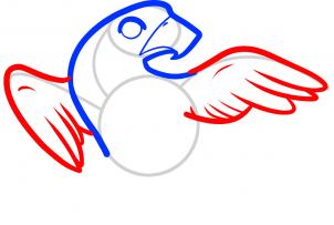 302x203 How To Draw How To Draw A Falcon For Kids