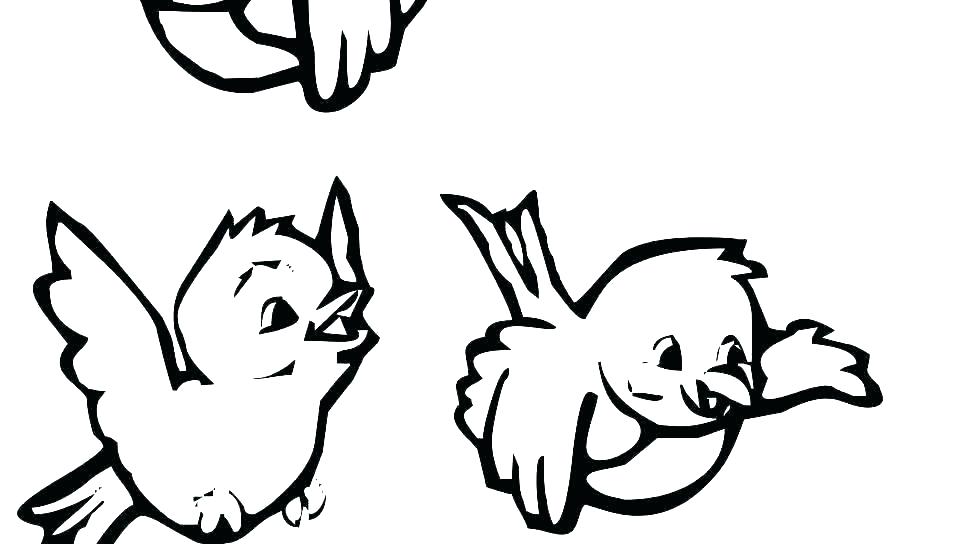 960x544 Kids Falcon Bird Coloring Pages