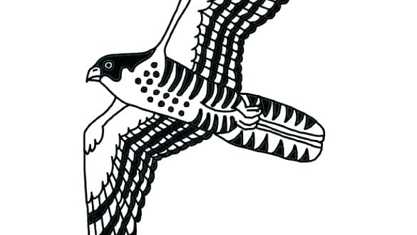 585x329 peregrine falcon coloring