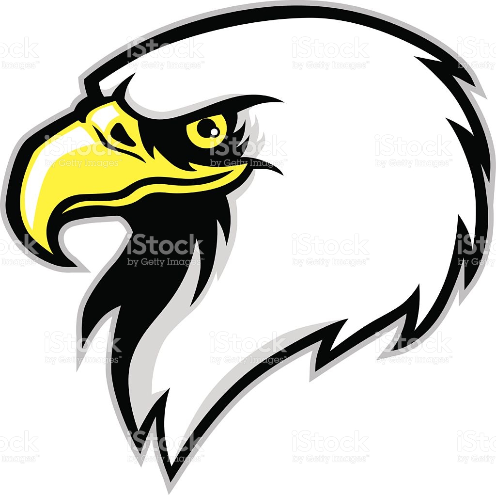 1024x1021 Falcon Head Clipart