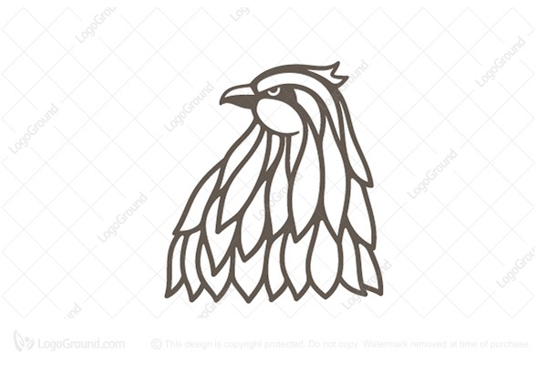 600x400 Falcon Logo