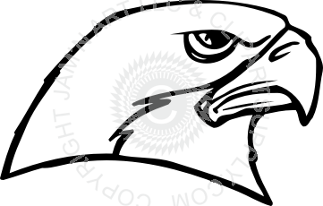 361x230 Falcon Head Looking To The Side