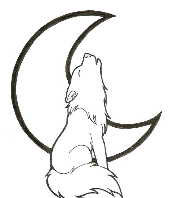 580x650 How To Draw A Simple Wolf Draw Simple Wolf Zupa