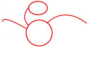 302x203 How To Draw How To Draw A Falcon For Kids