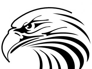 310x233 Black Eagle Head Free Vectors Ui Download