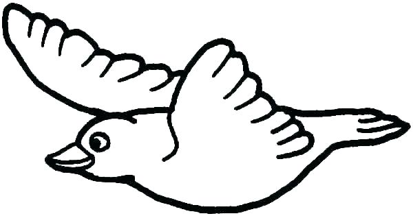 600x315 How To Draw A Falcon For Kids