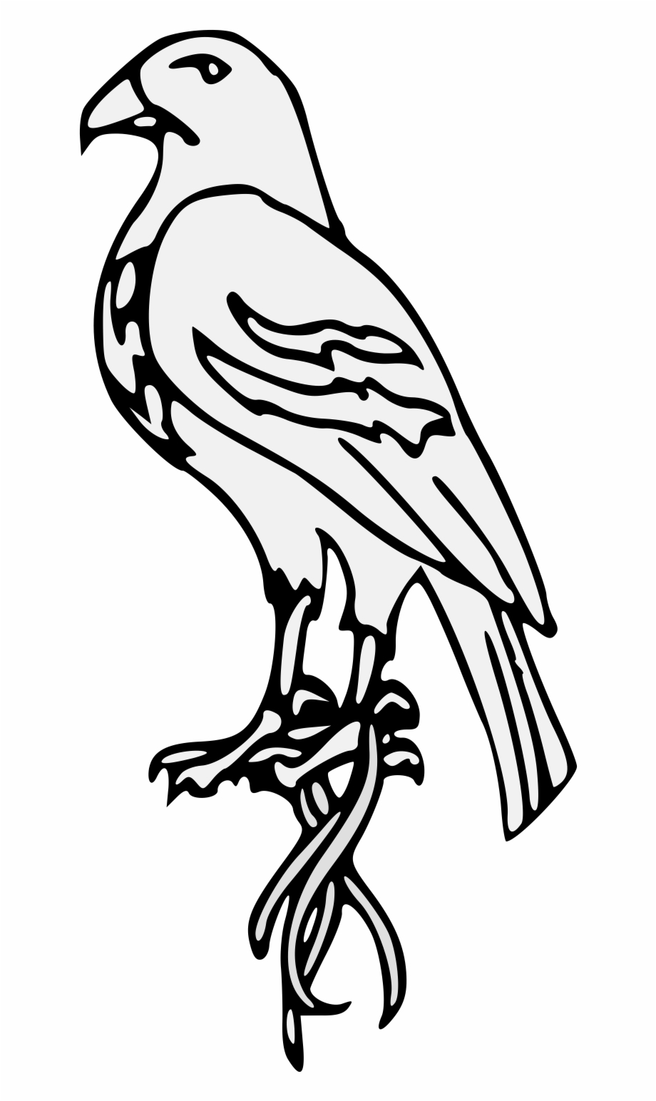 920x1544 Details, Png