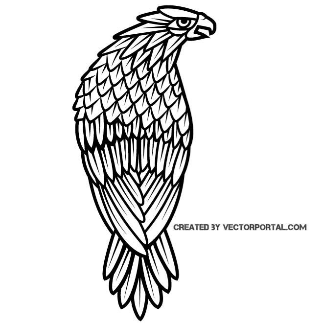 660x660 Falcon Clip Art