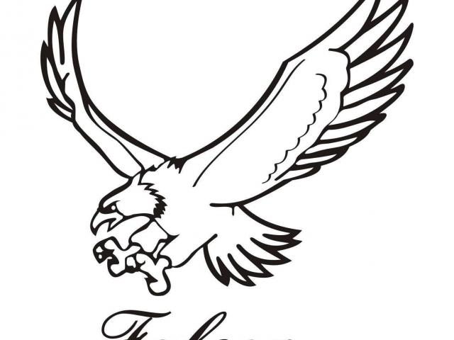 640x480 free peregrine falcon clipart, download free clip art