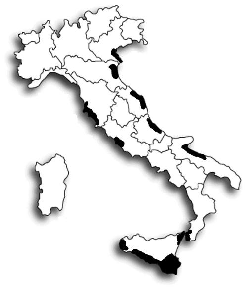 499x584 Recent Italian Records Of Saker Falcon