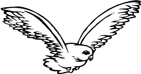 600x315 coloring pages for kids unicorn printable adults flowers peregrine