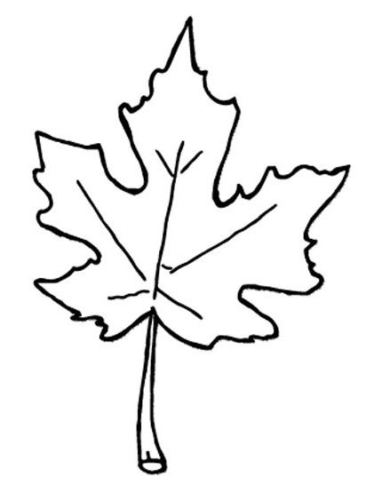 412x555 Fall Leaves Coloring Pages Sunday School Ideas Fall Leaves