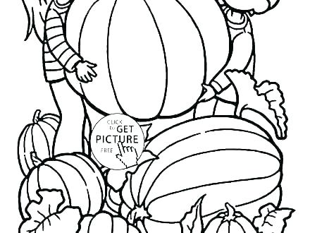 440x330 Fall Pumpkin Coloring Pages Templates Best Printable Ideas