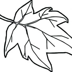230x230 Peaceful Inspiration Ideas Coloring Pages Leaves Leaf Printable