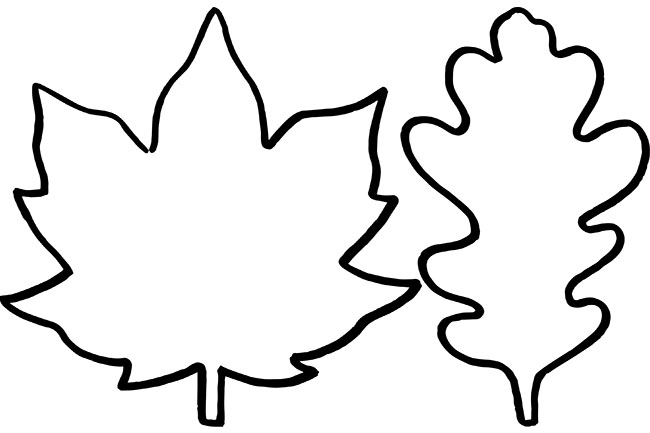 650x433 Fall Leaf Template