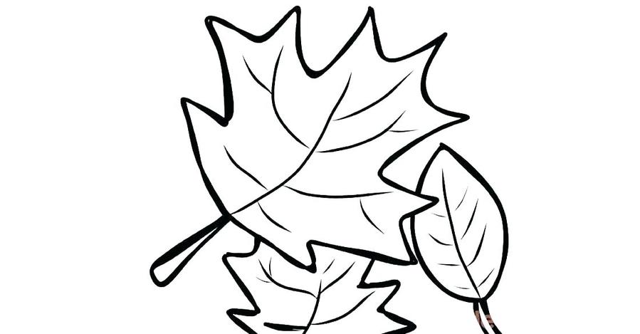 899x469 Download Fall Colouring Pages Clipart Colouring Pages Coloring