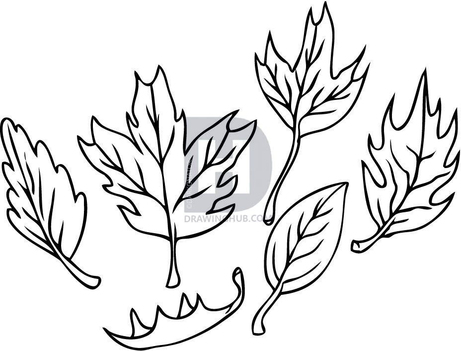 928x706 How To Draw Leaves, Step
