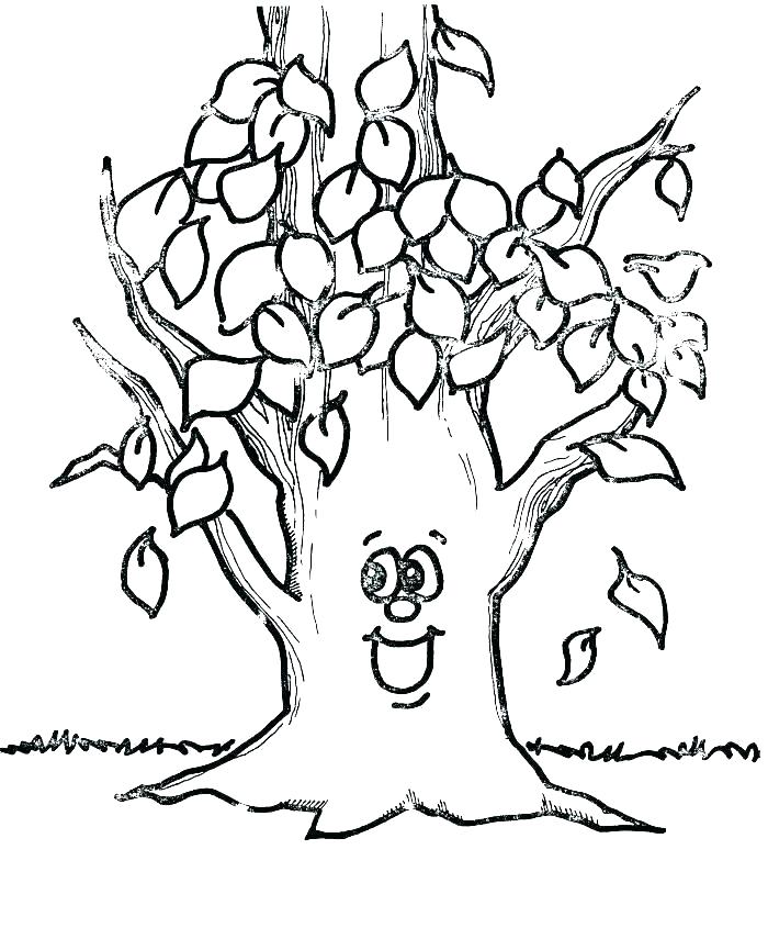 700x855 Coloring Pages Draw A Tree Coloring Pages