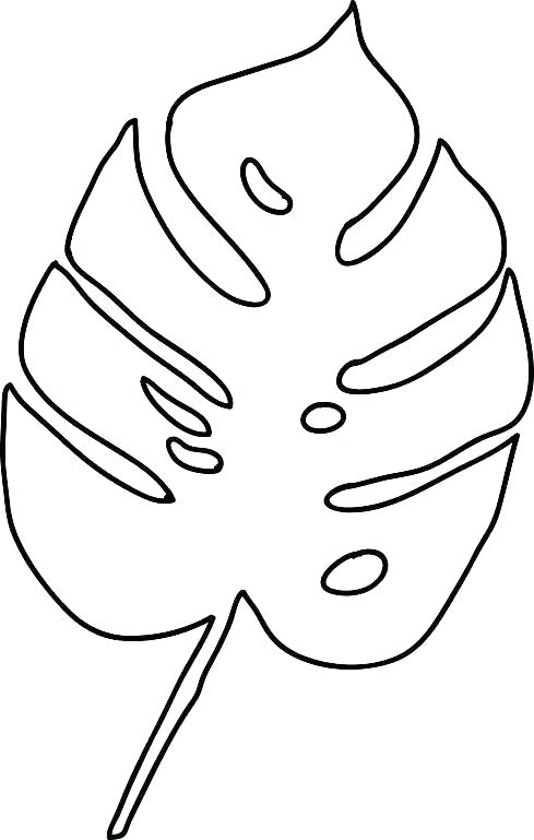 489x769 Coloring Pictures Of Leaves Coloring Leaves Big Leaf Pages Fall