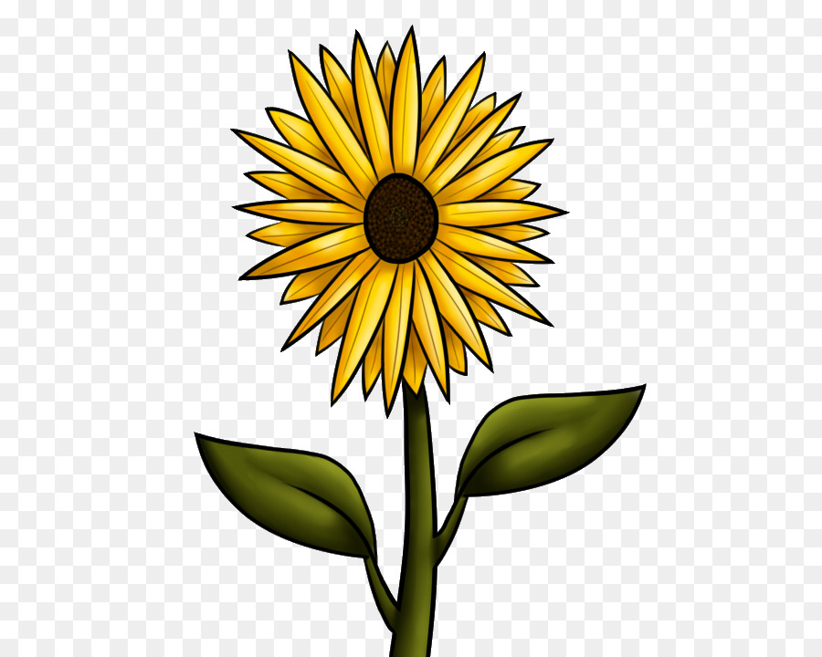 900x720 Drawing, Flower, Graphics, Transparent Png Image Clipart Free