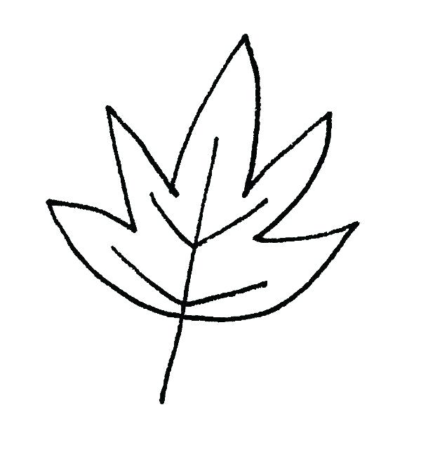 600x644 How To Draw Fall Leaves Step
