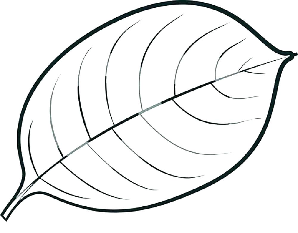 1000x783 Leaves Color Pages Fall Leaves Coloring Pages Pdf