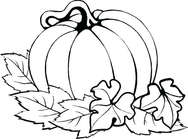 736x544 Pumpkin Coloring Pages Printable Pictures Of Pumpkins Fall Pumpkin
