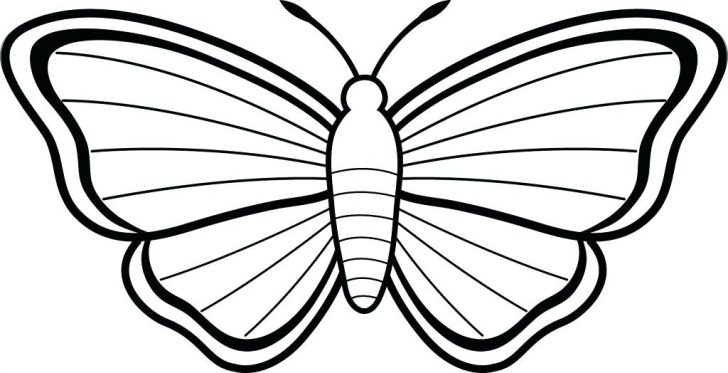 728x373 Simple Butterfly Drawing Coloring