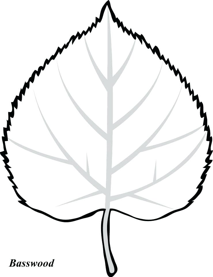 740x961 Free Printable Leaves Printable Leaf Pattern Thankful String Tree