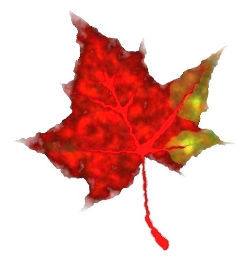 500x540 How To Draw A Fall Leaf Drawing Leaves Easy Draw Fall Leaves